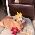 Profile Picture of grice_james_eric (@grice_james_eric) on Instagram