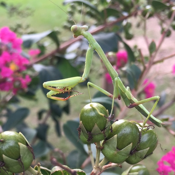 Profile Picture of Joshua Hardy (@joshuahardy1999) on Poshmark