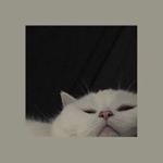 Profile Picture of 𝐉𝐨𝐲𝐜𝐞 - 𝐉𝐨𝐬𝐞𝐩𝐡𝐢𝐧𝐞 ♕ (@x.josephine.xx) on Instagram
