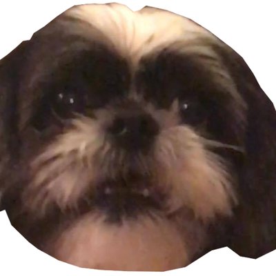 Profile Picture of Joe Illuminati (@Joey_Lights) on Twitter