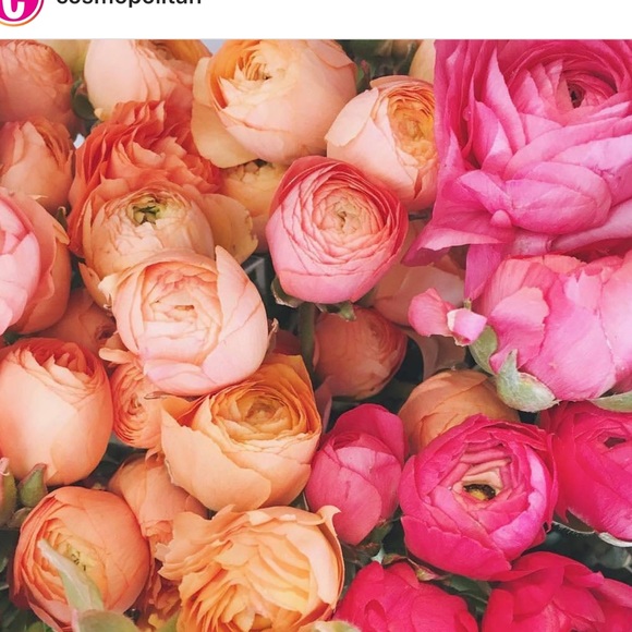 Profile Picture of Jamie Fuchs (@colleenjamie) on Poshmark