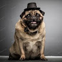 Profile Picture of Steven Calderon (@steven-calderon-53) on Quora