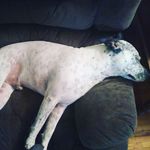 Profile Picture of James Hensley (@james.hensley.94043626) on Instagram