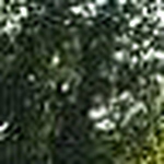 Profile Picture of Dan Schuler (@Schulers Lawn Care) on Flickr