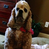 Profile Picture of Amanda Fluker (@amanda-fluker) on Quora