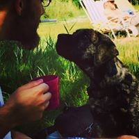 Profile Picture of Alex Giannakopoulos (@alex-giannakopoulos-2) on Quora