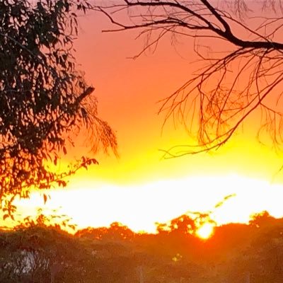 Profile Picture of Chris Logue (@1chrislogue) on Twitter