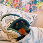 Profile Picture of Chad Edward Wood (@chadify) on Instagram