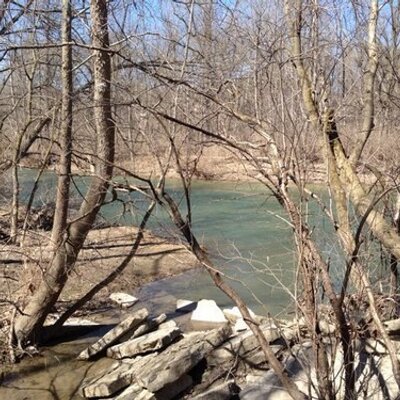 Profile Picture of Travis Bright (@twaldenb) on Twitter