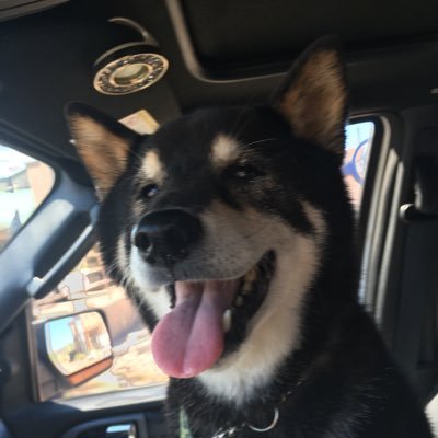 Profile Picture of Bob Burd (@BobBurd4) on Twitter