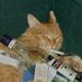 Profile Picture of Jose Sebastian (@JoseSebas14) on Pinterest