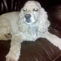 Profile Picture of Joshua Farnsworth (@joshua-farnsworth-11) on Quora