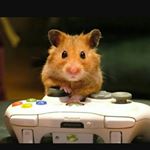 Profile Picture of eric pedrosa (@h.a_ms_74) on Instagram