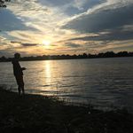 Profile Picture of David Mantello (@davidmantello) on Instagram