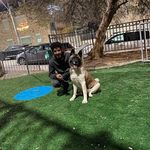 Profile Picture of Peter Khalil (@peterkhalil5773) on Instagram