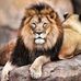 Profile Picture of Robert Manos (@Robert-Manos) on Facebook