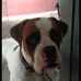 Profile Picture of Alberto Pukall (@alberto.pukall) on Facebook