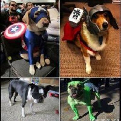 Profile Picture of Ken Mitton (@KenMitton1) on Twitter