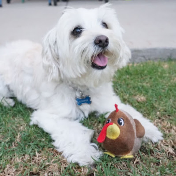 Profile Picture of Joey Acosta (@joeyacosta2820) on Poshmark