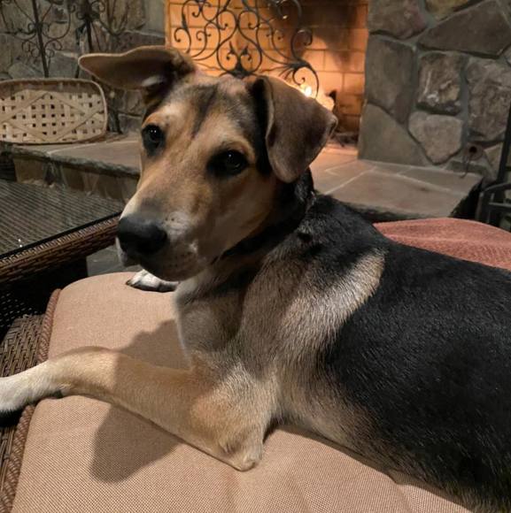 Profile Picture of Leslie Kimmelman (@tbkimmelman) on Poshmark