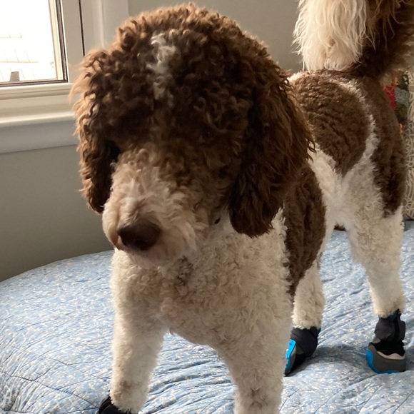 Profile Picture of Janis Chilson (@jchilson994) on Poshmark