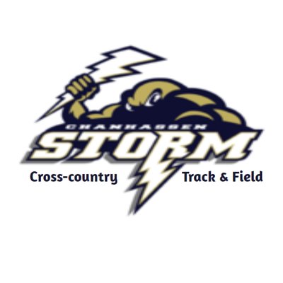 Profile Picture of ChanStormCC/T&F (@ChanStormCC_TF) on Twitter