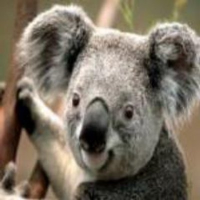 Profile Picture of David Wannenburg (@DavidWann89) on Twitter
