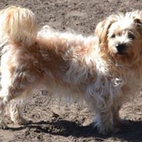 Profile Picture of David Sires (@david-sires-2) on Quora