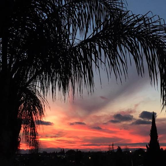 Profile Picture of Sammy Liu (@sammy_liu) on Poshmark