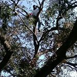 Profile Picture of Bob Castle Z (@bobcastlez) on Instagram