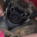 Profile Picture of Henrietta Allen (@hcallen.010428) on Instagram