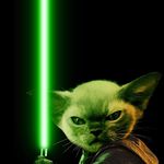 Profile Picture of Matthew Getzinger (@getzingermatthew) on Instagram