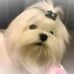 Profile Picture of Janice Brett (@janice.brett.12) on Facebook