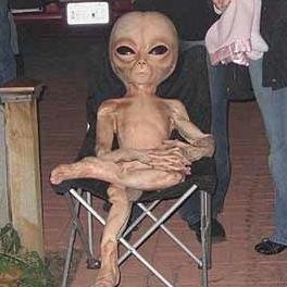 Profile Picture of Joel Bonham (@joelbohan) on Myspace