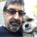 Profile Picture of David Studwell (@davidstudwell) on Instagram