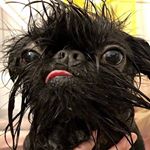 Profile Picture of Debbie Raymer (@debbie.raymer.9) on Instagram