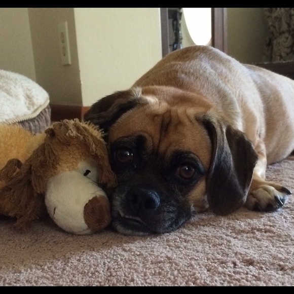 Profile Picture of Stephanie Dirubbo (@sdirubbo) on Poshmark