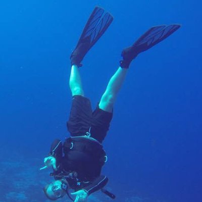 Profile Picture of Frank Workman (@workmanfd) on Twitter