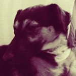 Kevin3.0 - Instagram Profile Picture of Kevin3.0 (@kevinbaumbach16) on Instagram