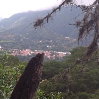 Profile Picture of Luis Alfonso Suescun Avendaño (@SuescunAvendano) on Twitter