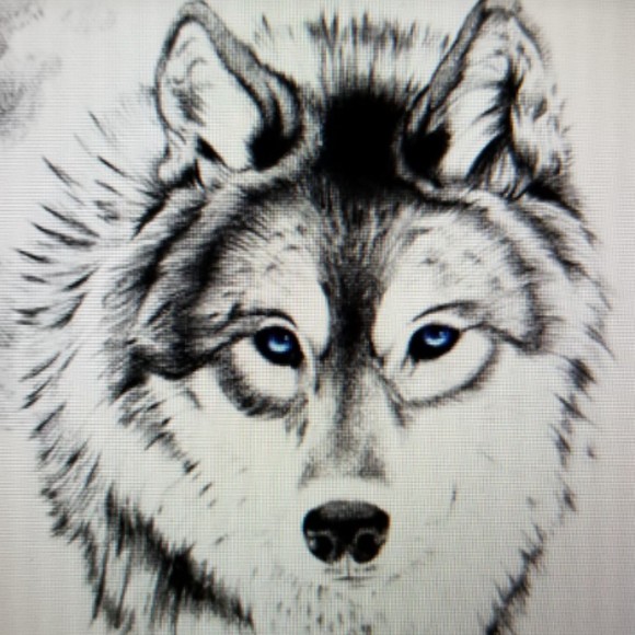 Profile Picture of Nadine Lettieri (@lunagear) on Poshmark