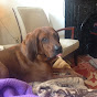Profile Picture of Spencer Roach (@@spncrgr) on Tiktok