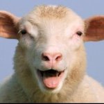 Profile Picture of Brian Priebe (@bigbpriebe) on Instagram