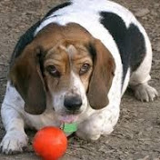 Profile Picture of Graham Galloway (@grahamgalloway7558) on Youtube