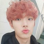 Profile Picture of My 8 wittle bundles of joy (@mingisthicclips) on Instagram