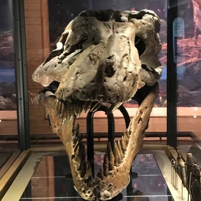 Profile Picture of Brian Keach (@brieli613) on Twitter