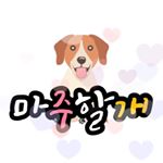 Profile Picture of 마주할개 입양홍보🌈 (@majuhalgae__dog) on Instagram