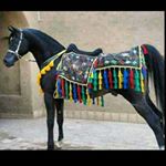 Profile Picture of خلیل (@abedsaad.a) on Instagram