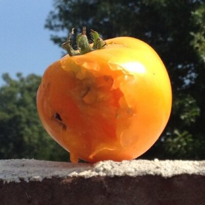 Profile Picture of Robert Kuntzman (@KuntzmanRobert) on Twitter