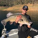 Profile Picture of Chris Pye (@the__hornet) on Instagram